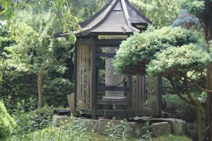IMG_8768 Pure Land Japanese garden