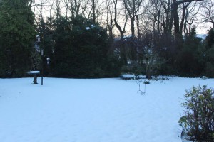 05 Garden snow