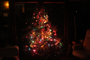 IMG_0572 Christmas tree