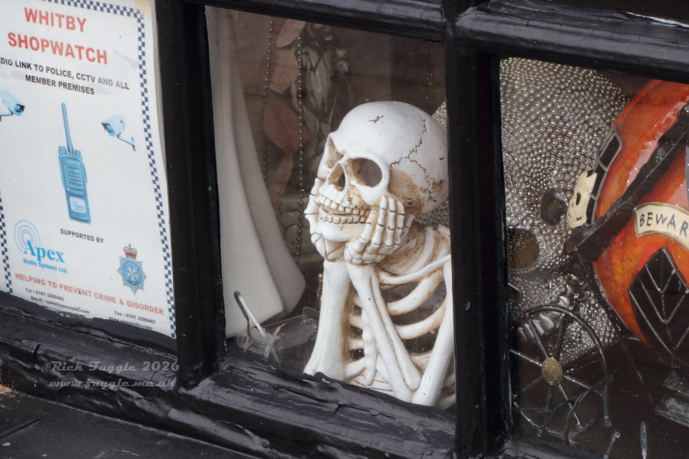 Whitby town and Abbey