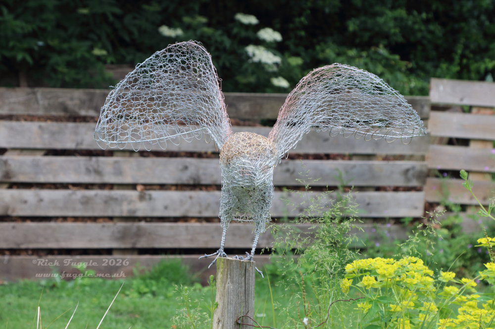 Stillingfleet Gardens
